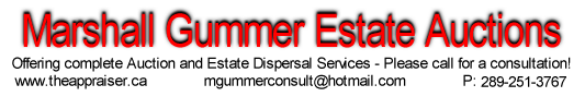 Auctioneer Banner